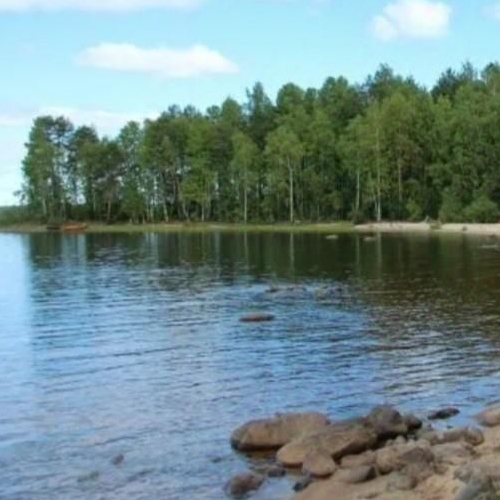 1-комн квартира пос. Поляны, шоссе Выборгское, 49к3