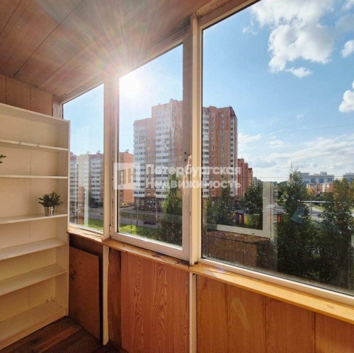 1-комн квартира деревня Кальтино, деревня Кальтино, Колтушское шоссе, д 19 к 1