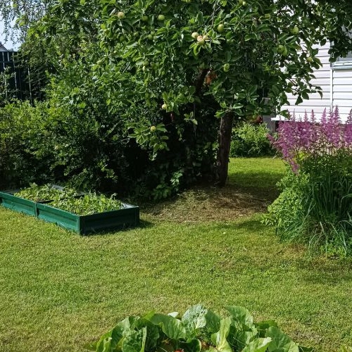 Коттедж/дом Восход садоводческий массив, Кировец-3/8 СНТ, аллея 8-я,  д. 8