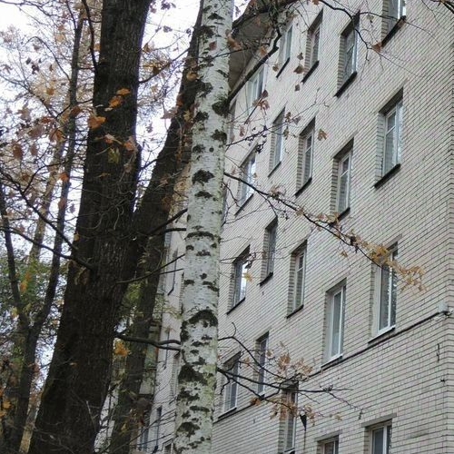 1-комн квартира Красное Село, улица Спирина,  д. 12