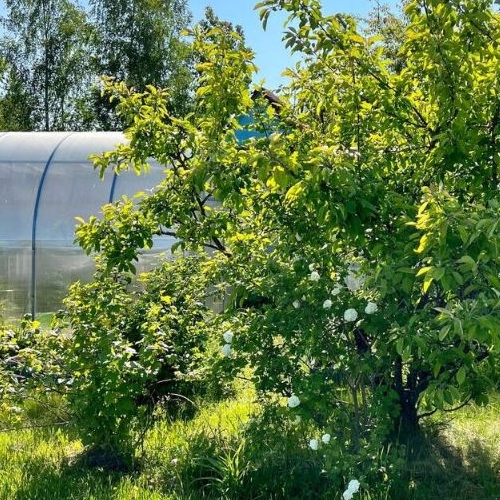 Коттедж/дом Мяглово-Карьер садоводческий массив, Север СНТ, 30-я линия, 1077,  д. 1077