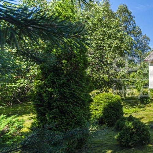 Коттедж/дом с. Паша, улица Заречная, 13