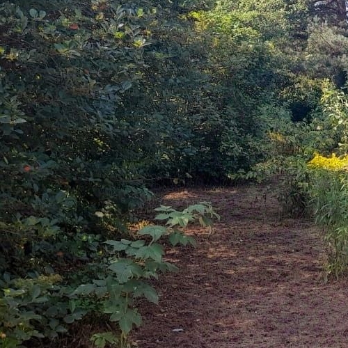 Коттедж/дом Форт Ино СНТ, 4-я линия, 73