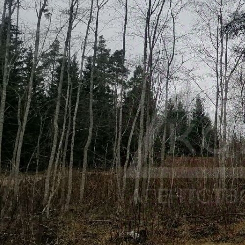 Земельный участок Алмаз СНТ, улица Бирюзовая