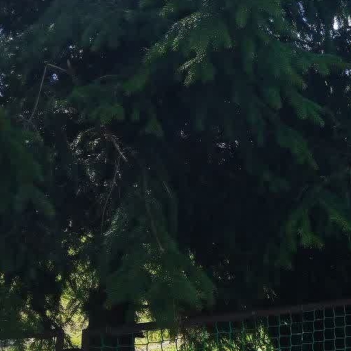 Коттедж/дом д. Трусово, 36