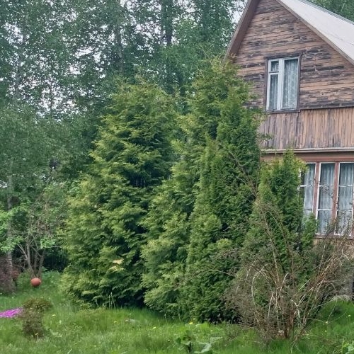 Коттедж/дом Васкелово садоводческий массив, ЦНИИ Электроприбор СНТ, проезд 2-й