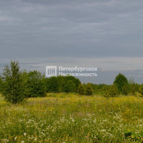 Земельный участок деревня Сологубовка, деревня Сологубовка, , д 83,  д. 83