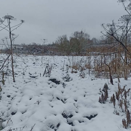 Земельный участок Старая Середка дер.