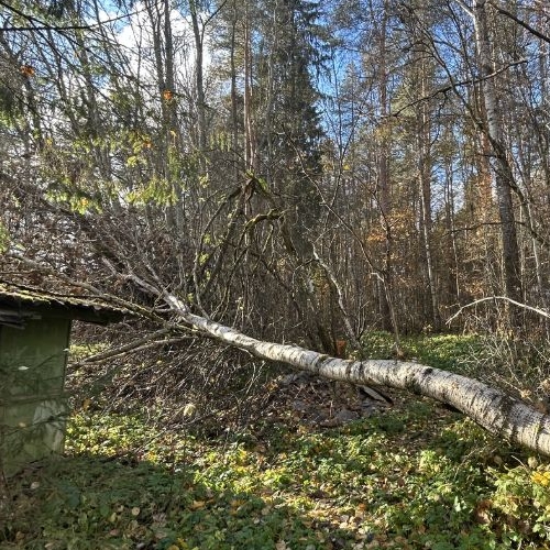 Коттедж/дом д. Межно, улица Заречная, 6