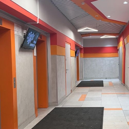 Студия пос. Парголово, проезд Толубеевский, 8к2