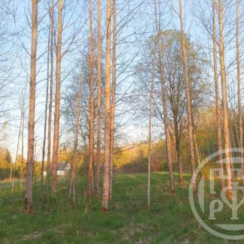 Земельный участок Правдино пос.