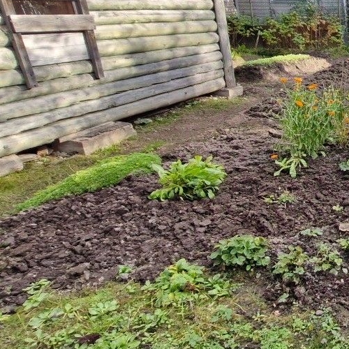 Коттедж/дом Дивенская садоводческий массив, Лесное СНТ,  д. 179