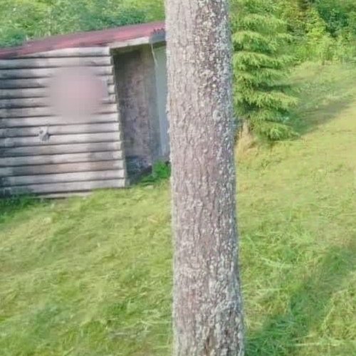 Коттедж/дом Новожилово массив, Патриот СНТ, 5