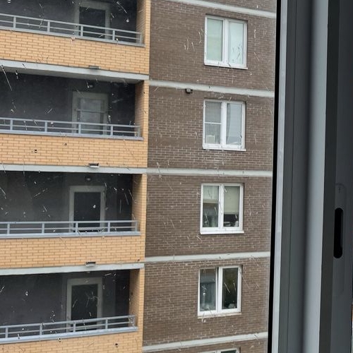 Студия Екатерининский проспект, 2