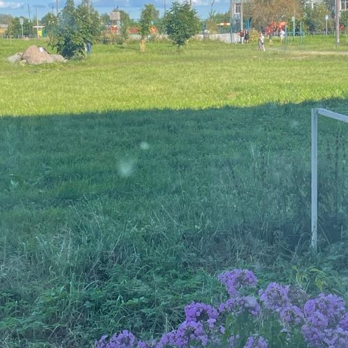 1-комн квартира д. Гостилицы, улица Школьная, 2