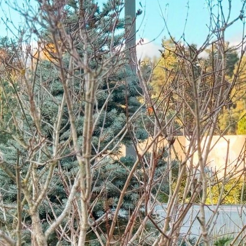 Земельный участок пос. Первомайское, Ручеек-Первомайское СНТ