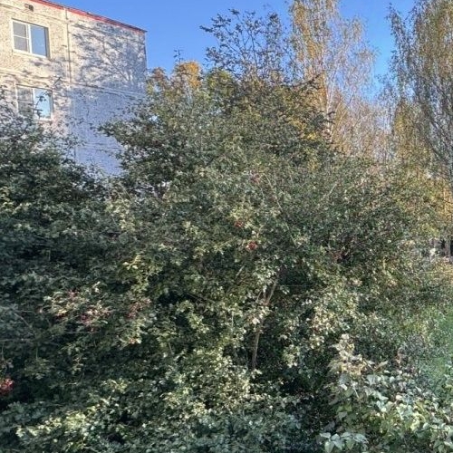 1-комн квартира д. Заклинье, улица Новая, 24