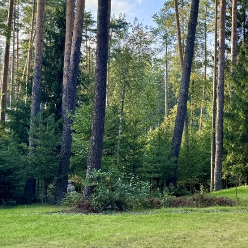 Коттедж/дом пос. Ленинское, Спутник СНТ