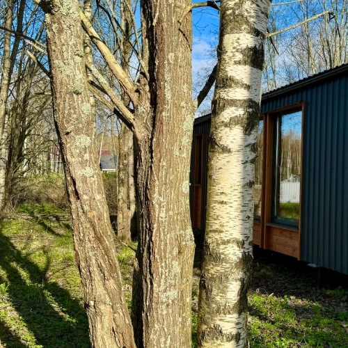 Коттедж/дом д. Таменгонт, переулок Медвежий