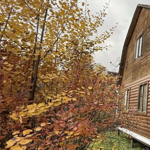 Коттедж/дом Посадников остров садоводческий массив, Сигнал СНТ, улица Соловьиная