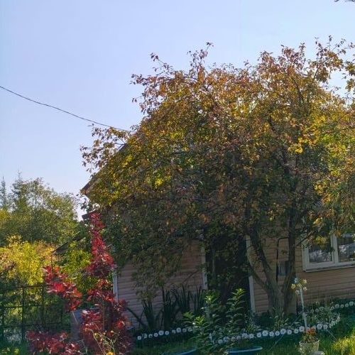 Коттедж/дом Солка садоводческий массив, Монтажник СНТ, 5-я линия, 222