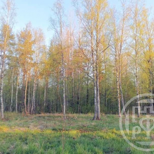 Земельный участок Правдино пос.