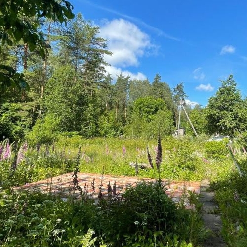 Коттедж/дом Рощино пгт, Лесное СНТ