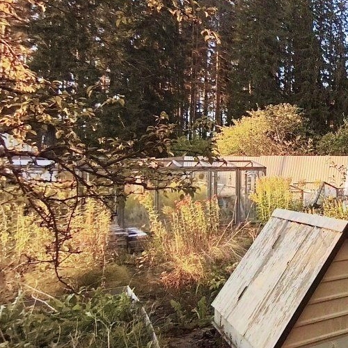 Коттедж/дом Выборг, Ручьи СНТ, тупик 1-й Оливковый, 6