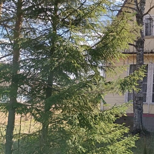 Коттедж/дом Борисова Грива садоводческий массив, Фурнитура СНТ