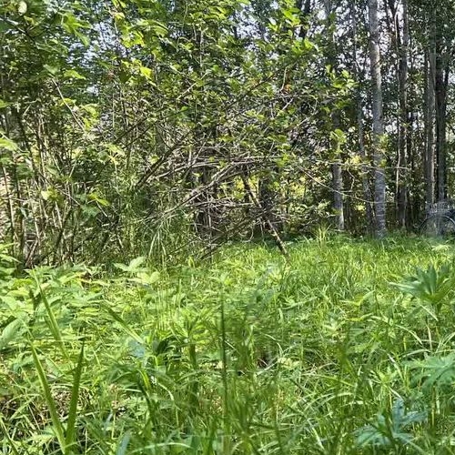 Земельный участок Посадников остров садоводческий массив, 8-я линия