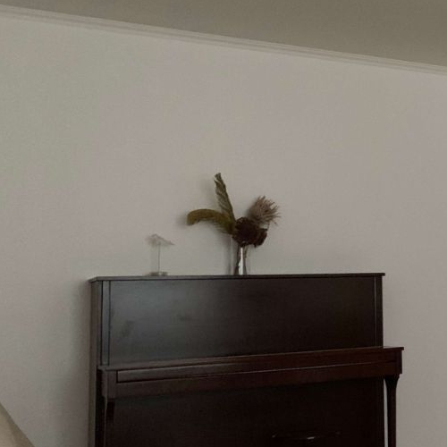 3-комн квартира Сестрорецк, Приморское шоссе, 261а