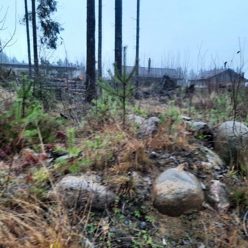 Земельный участок Сертолово г., Медное озеро 3 днп