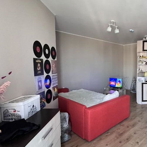 Студия пос. Парголово, проезд Толубеевский, 8к2