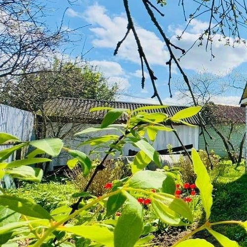 Коттедж/дом Заклинское СНТ, улица 1-я Центральная