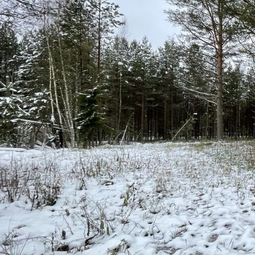 Земельный участок Будогощь пгт, улица Сиреневая