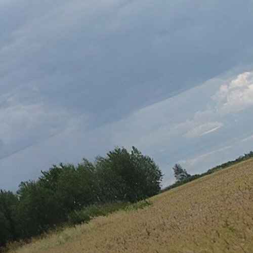 Земельный участок д. Рапполово, 8