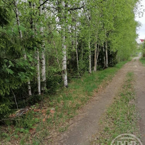 Земельный участок Новое Токсово массив, Юбилейное-ручьи снт