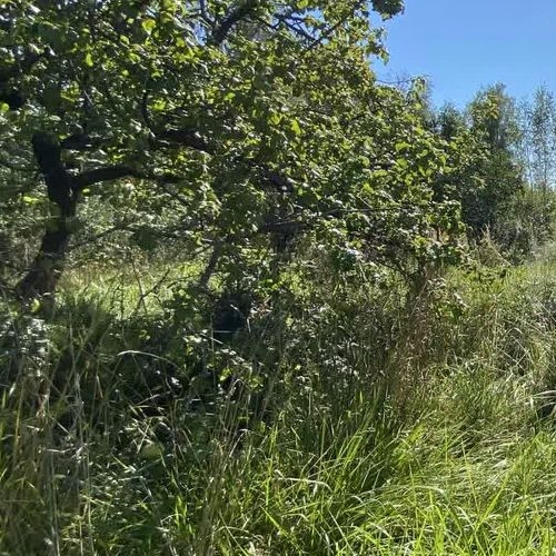 Коттедж/дом Солнечный СНТ, улица 28-я