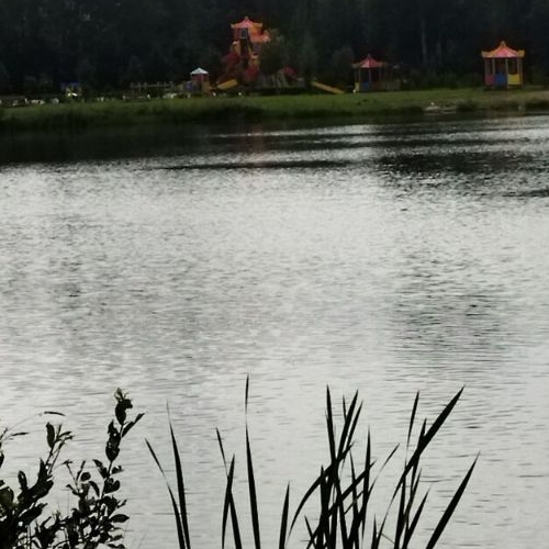 Земельный участок Автомобилист СНТ, 116