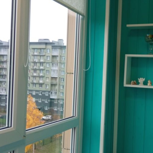 Студия пос. Шушары, Славянка тер., улица Ростовская, 23к1