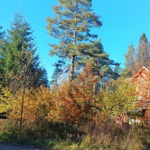 Коттедж/дом Рощино пгт, переулок Безымянный, 3