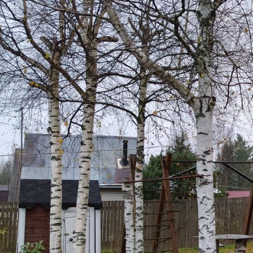 Коттедж/дом Лебяжье тер., проезд 4-й Дачный, 12