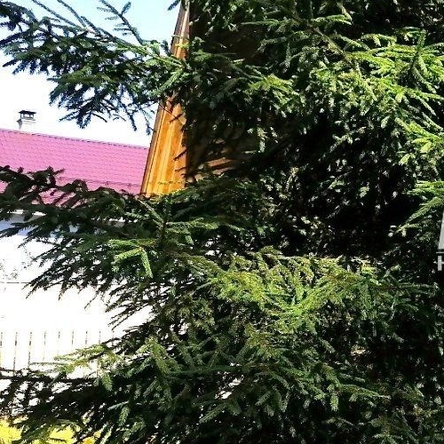 Коттедж/дом Звездочка-1 СНТ