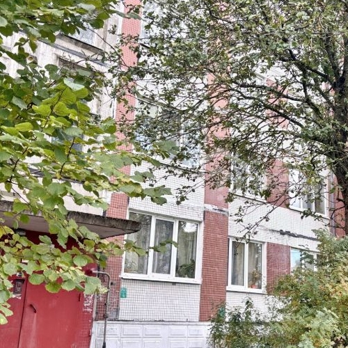 1-комн квартира д. Оржицы, 22