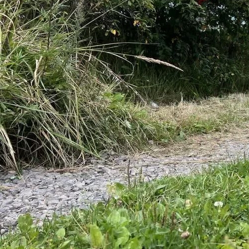 Коттедж/дом Нефтяник СНТ, улица 12-я