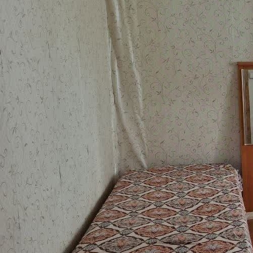 Коттедж/дом Посадников остров садоводческий массив, Ленгипротранс-Кириши СНТ, улица Строителей, 160