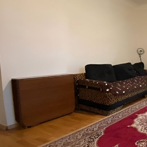 1-комн квартира Синявино городской поселок, переулок Садовый, 1