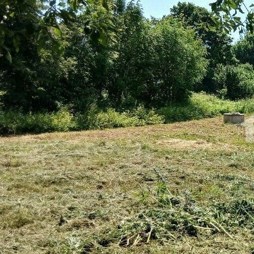 Земельный участок пос. Горьковское, улица Совхозная