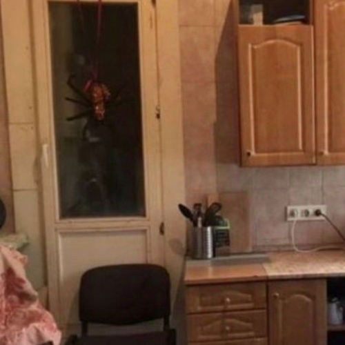 Комната набережная Обводного Канала, 57