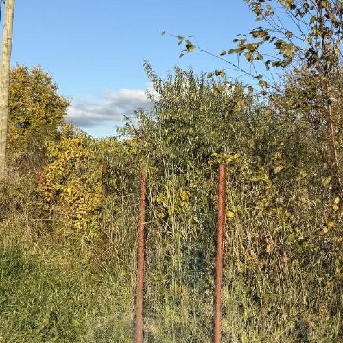 Земельный участок Волжа СНТ, улица 3-я, 14